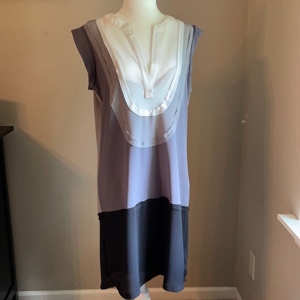 BCBG Max Azria sleeveless dress